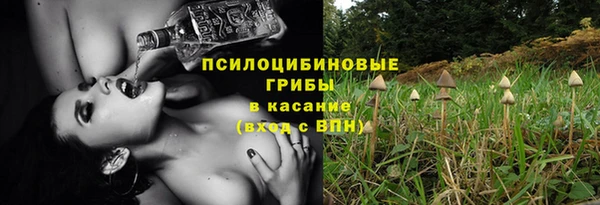 винт Щучье